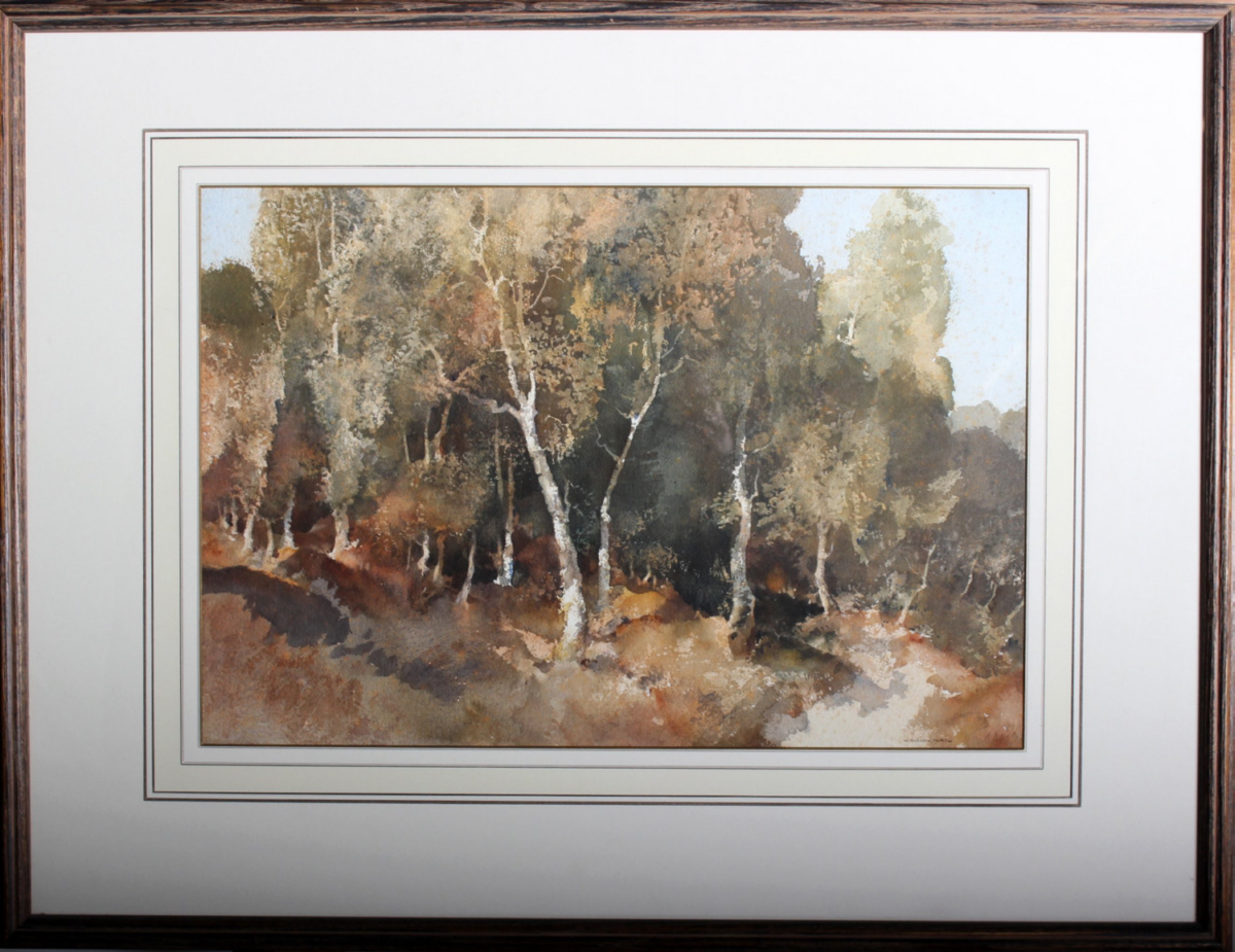 original watercolour Woodland, Surrey original watercolour Woodland, Surrey